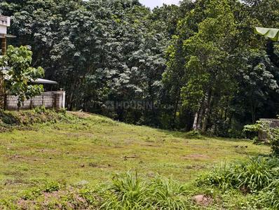 Others image of 28311.0 Sq.ft Commercial Plot for sale in Ottapalam for 26000000