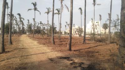 Others image of 4200.0 Sq.ft   Commercial Plot for sale in Thotada Guddadhalli Village for 17850000