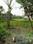 Others image of 8500.0 Sq.ft   Commercial Plot for rent in Diamond Harbour for 80000