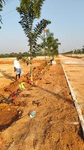 Commercial Plot