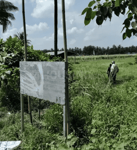 Commercial Plot