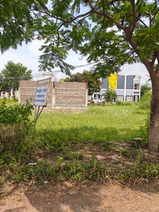 Commercial Plot