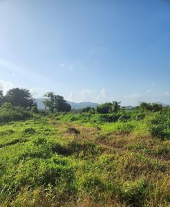 Others image of 217800.0 Sq.ft   Commercial Plot for sale in Naigaon East for 440000000