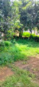 Others image of 1200.0 Sq.ft   Commercial Plot for rent in Hitech City for 150000