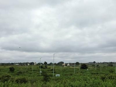 Commercial Plot