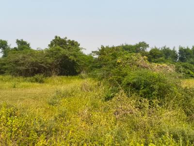 Commercial Plot