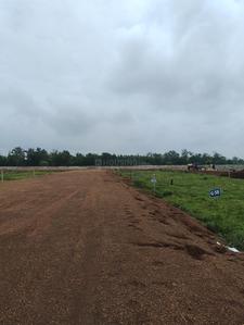 Others image of 710.0 Sq.ft   Commercial Plot for sale in Pulgoan for 4437500