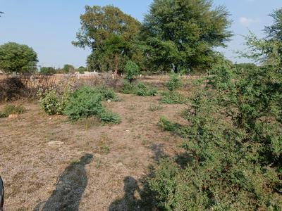 Others image of 1450.0 Sq.ft   Commercial Plot for sale in Bagru for 850000