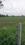 Others image of 300000.0 Sq.ft   Commercial Plot for sale in IDA Pashamylaram for 320326413