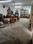 Others image of 900.0 Sq.ft  Ready to use Office Space for sale in Baranagar for 6000000
