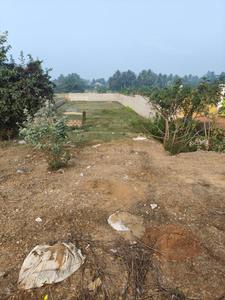 Others image of 10000.0 Sq.ft   Commercial Plot for sale in Pipili for 22000000