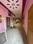 Others image of 5500.0 Sq.ft   Warehouse for rent in Devpuri-II for 50000