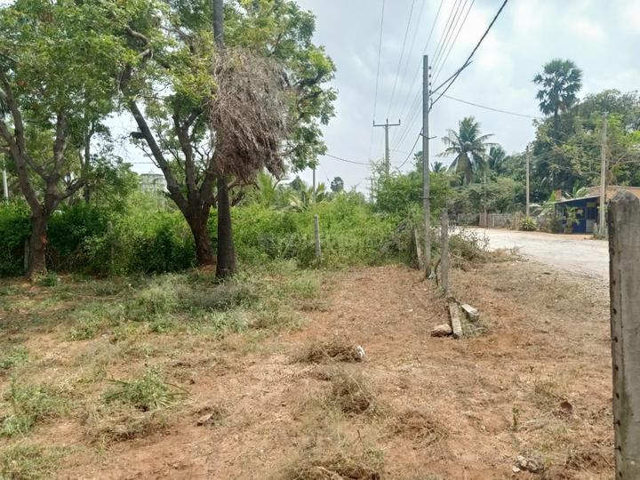 Others image of 1000.0 Sq.ft   Commercial Plot for sale in Belondakhar for 525000