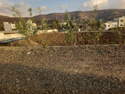 Commercial Plot