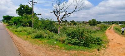 Commercial Plot