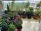 Others image of 560.0 Sq.ft  Ready to use Office Space for rent in Dapodi for 52000