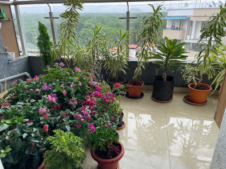 Others image of 560.0 Sq.ft  Ready to use Office Space for rent in Dapodi for 52000