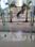 Hall image of 5515.0 Sq.ft   Showroom for sale in Andheri West for 250000000