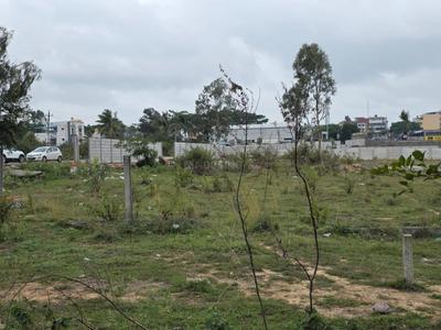 Commercial Plot