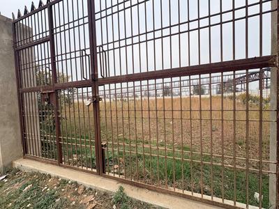 Commercial Plot