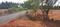 Others image of 1000.0 Sq.ft   Commercial Plot for sale in Avinashi Taluk for 125000