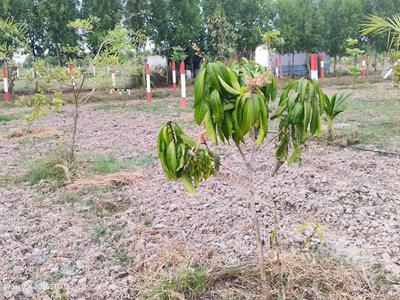 Others image of 9982.0 Sq.ft   Commercial Plot for sale in Chengalpattu for 2086238