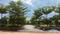 Others image of 6000.0 Sq.ft   Commercial Plot for sale in Gowribidnur for 4200000