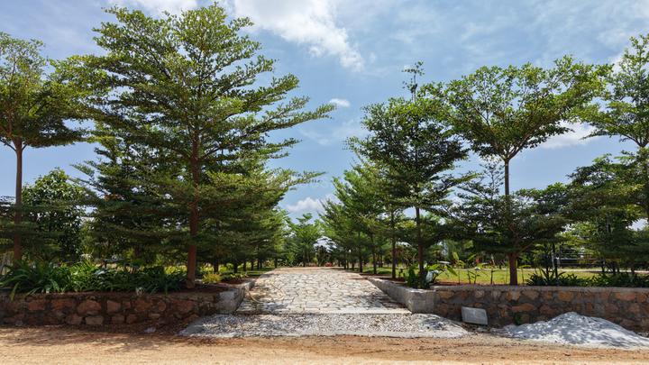 Others image of 6000.0 Sq.ft   Commercial Plot for sale in Gowribidnur for 4200000