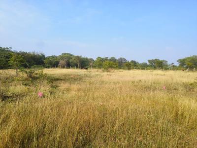Others image of 12650.0 Sq.ft   Commercial Plot for sale in Annur for 12000000