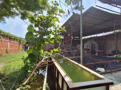 Commercial Property