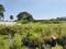 Others image of 3520.0 Sq.ft   Commercial Plot for sale in Kovilancheri for 24600000
