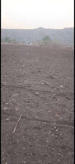 Others image of 150000.0 Sq.ft   Commercial Plot for rent in Wadaki for 250000