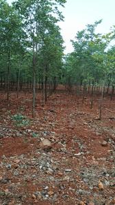 Others image of 10890.0 Sq.ft   Commercial Plot for sale in Padmavathi Nagar for 900000