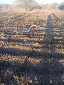 Others image of 87134.0 Sq.ft   Commercial Plot for sale in Kuvadva for 15000000