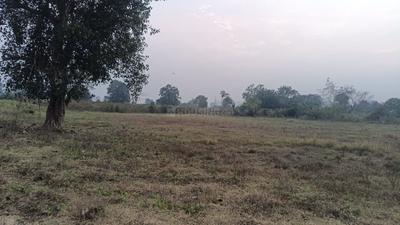 Commercial Property