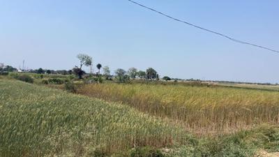 Commercial Plot