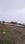 Others image of 1000.0 Sq.ft   Commercial Plot for sale in Rimjha for 1800000
