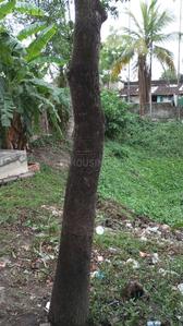 Others image of 8711.0 Sq.ft   Commercial Property for sale in Subhasgram for 10000000