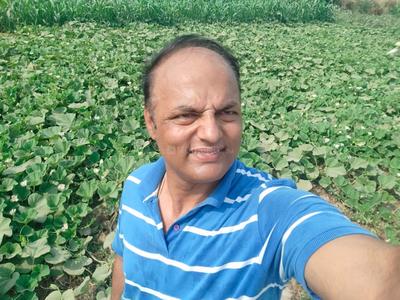 Commercial Plot