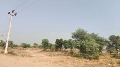 Commercial Plot