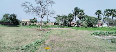 Others image of 500.0 Sq.ft   Commercial Plot for sale in Baruipur for 160000000