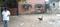 Commercial image of 1500.0 Sq.ft   Showroom for rent in Kandivali East for 60000