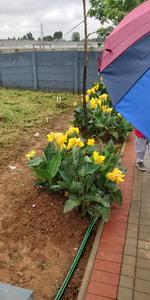 Others image of 1300.0 Sq.ft Commercial Plot for rent in Bommasandra for 90000