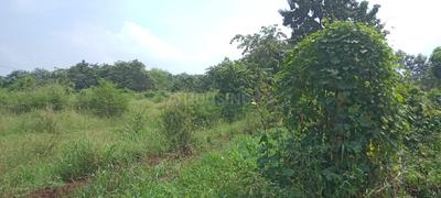 Others image of 10000.0 Sq.ft   Commercial Plot for sale in Abrama Village for 9500000