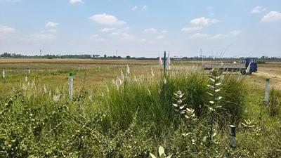 Commercial Plot