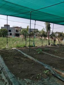 Commercial Plot
