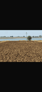 Commercial Plot