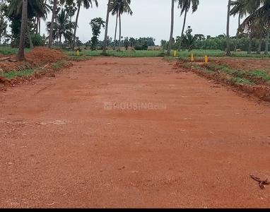 Others image of 3600.0 Sq.ft   Commercial Plot for sale in Bhogapuram for 10000000