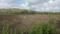 Others image of 1000.0 Sq.ft   Commercial Plot for sale in Belondakhar for 500000