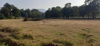 Commercial Plot